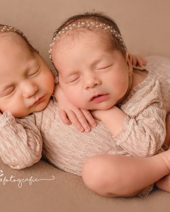 Body „Elena“ Nr. 737